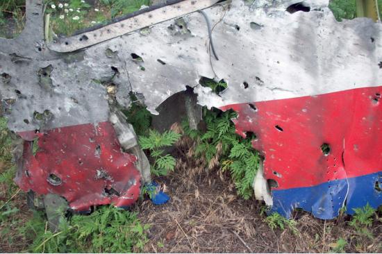 MH17鱨:崩͸